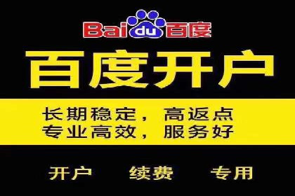 竞价托管SEM的创意与实践：多行业案例集